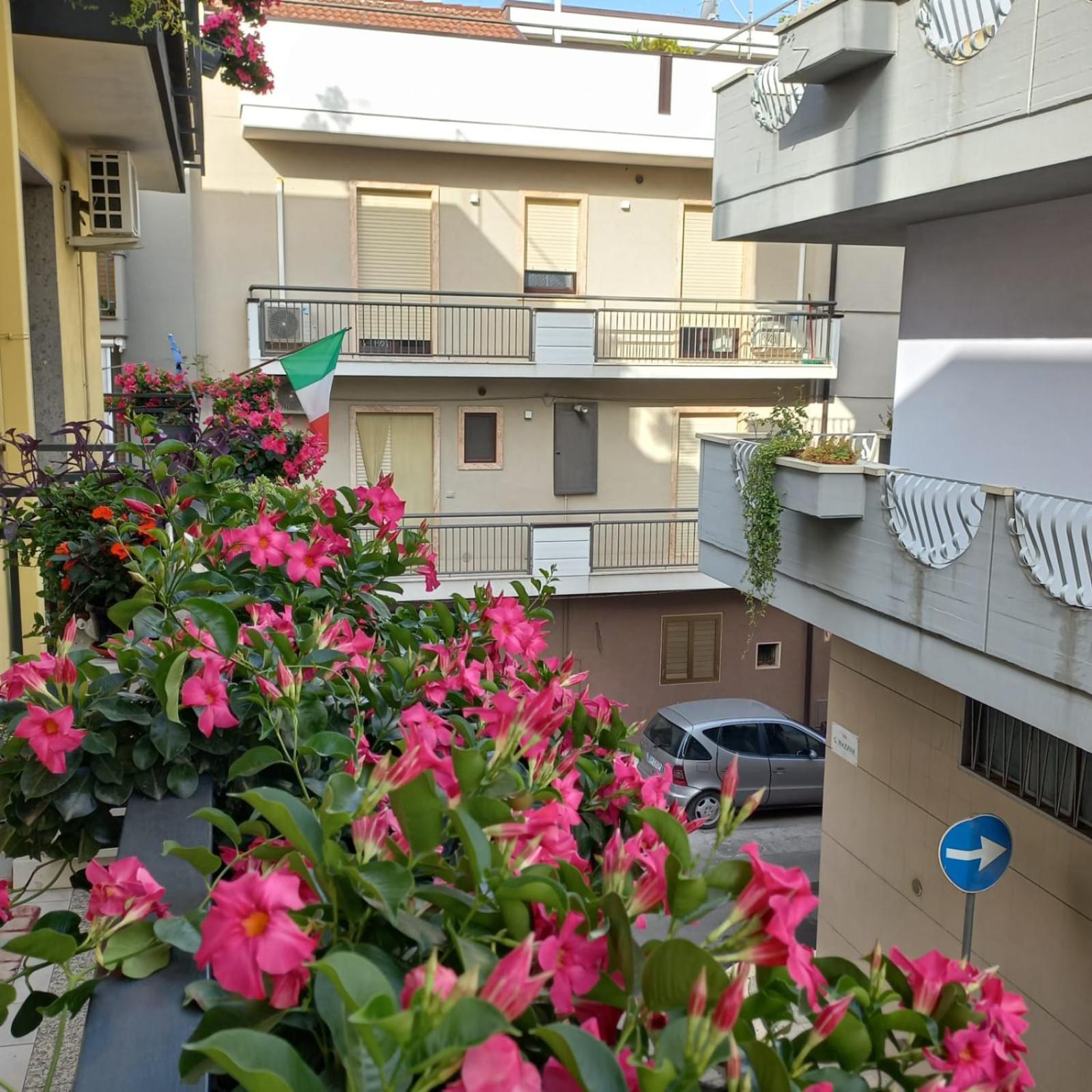 B&B Stupor Mundi Altamura Exterior photo